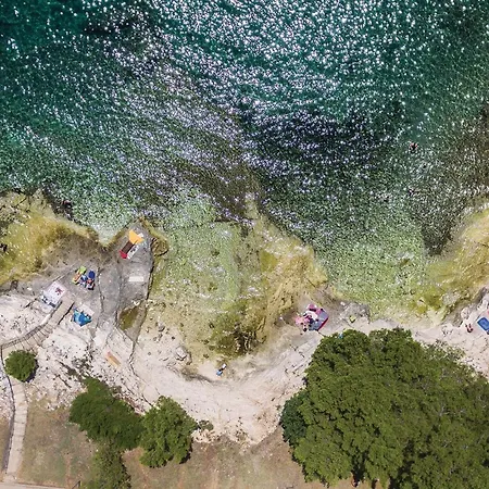 Stunning In With Wifi * Pola